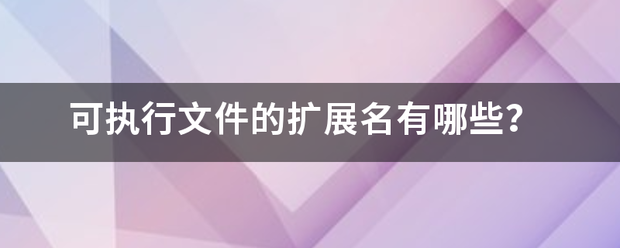 可执行文件的扩展来自名有哪些？