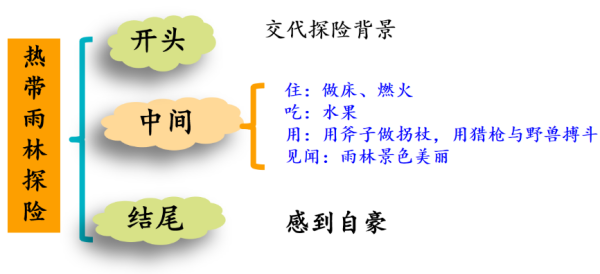 神奇的探险之旅提周华微手慢散纲