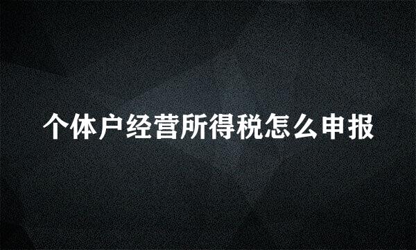 个体户经营所得税怎么申报