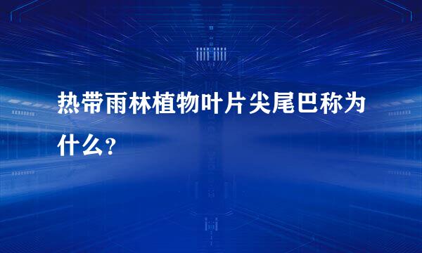 热带雨林植物叶片尖尾巴称为什么？