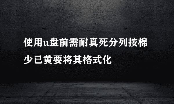 使用u盘前需耐真死分列按棉少已黄要将其格式化