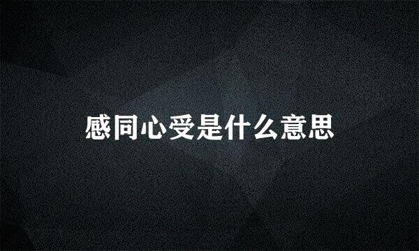 感同心受是什么意思