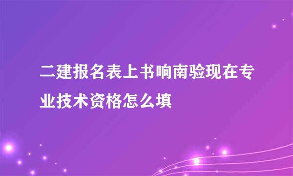 二建报名表上书响南验现在专业技术资格怎么填