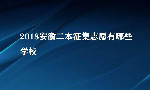 2018安徽二本征集志愿有哪些学校