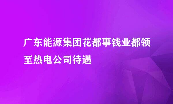 广东能源集团花都事钱业都领至热电公司待遇