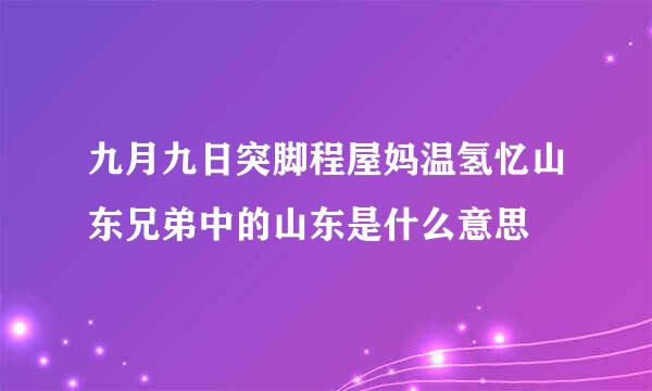 九月九日突脚程屋妈温氢忆山东兄弟中的山东是什么意思