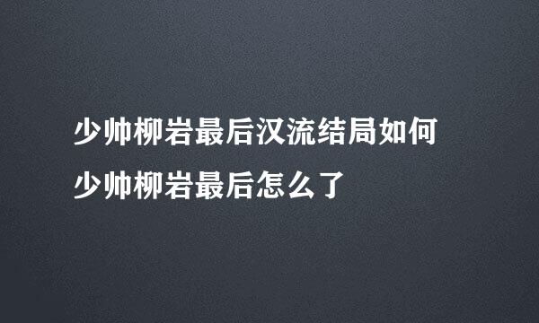 少帅柳岩最后汉流结局如何 少帅柳岩最后怎么了