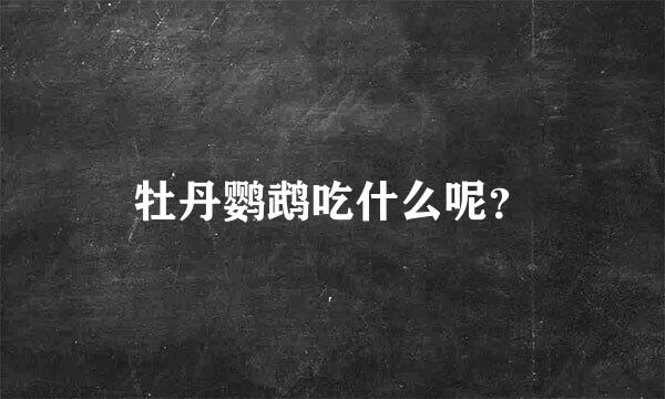 牡丹鹦鹉吃什么呢？