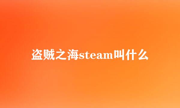 盗贼之海steam叫什么