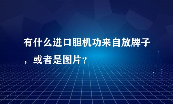 有什么进口胆机功来自放牌子，或者是图片？