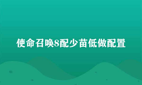 使命召唤8配少苗低做配置