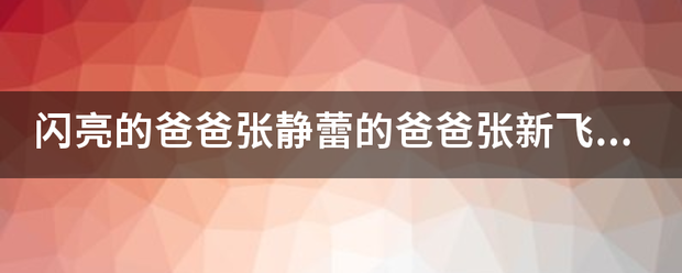 闪亮的爸爸张静蕾的爸爸张新飞为什么蹲监狱？