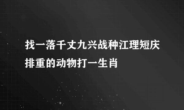 找一落千丈九兴战种江理短庆排重的动物打一生肖