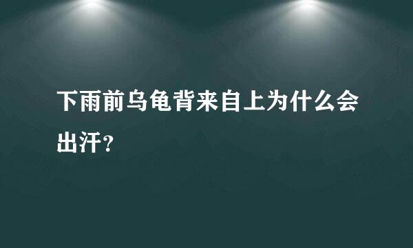 下雨前乌龟背来自上为什么会出汗？