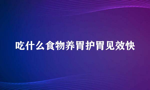 吃什么食物养胃护胃见效快