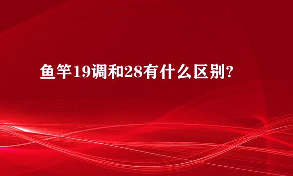 鱼竿19调和28有什么区别?