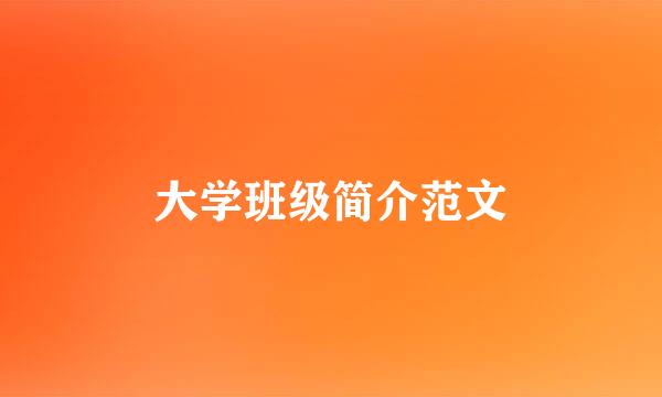 大学班级简介范文