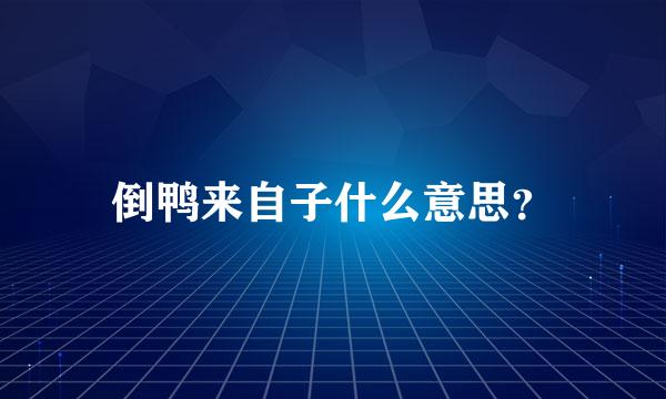 倒鸭来自子什么意思？