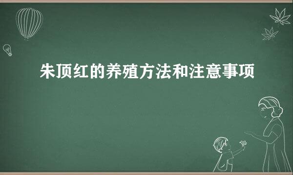 朱顶红的养殖方法和注意事项