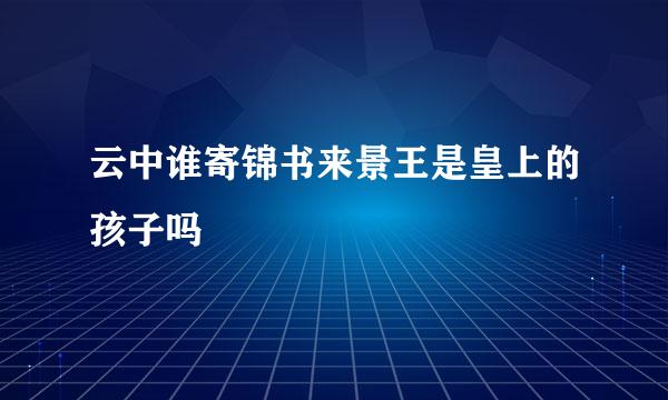 云中谁寄锦书来景王是皇上的孩子吗