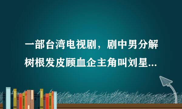 一部台湾电视剧，剧中男分解树根发皮顾血企主角叫刘星宇，麻烦各位帮我想想这部电视连续剧的名字，谢