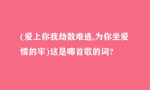 (爱上你我劫数难逃,为你坐爱情的牢)这是哪首歌的词?