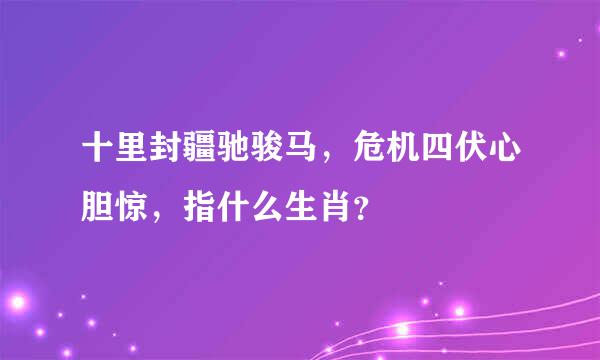 十里封疆驰骏马，危机四伏心胆惊，指什么生肖？