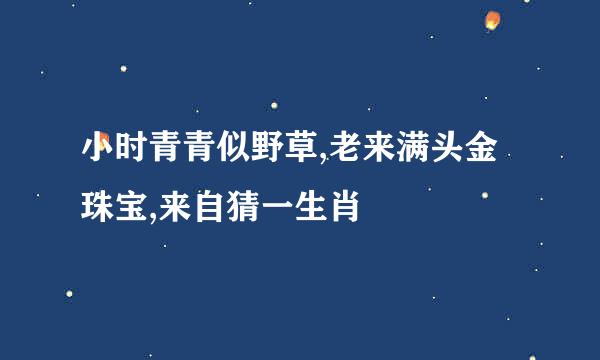 小时青青似野草,老来满头金珠宝,来自猜一生肖