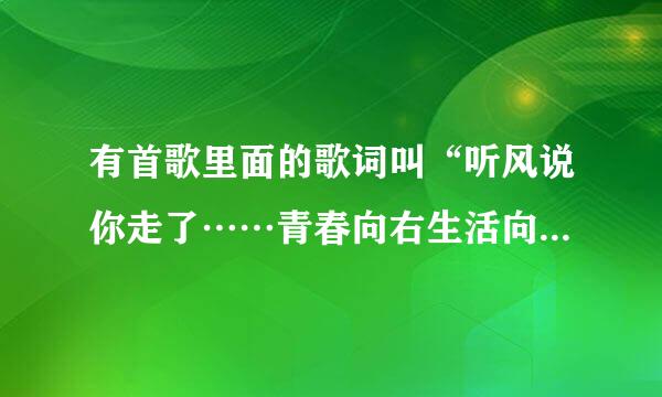 有首歌里面的歌词叫“听风说你走了……青春向右生活向左”这首歌叫什么？