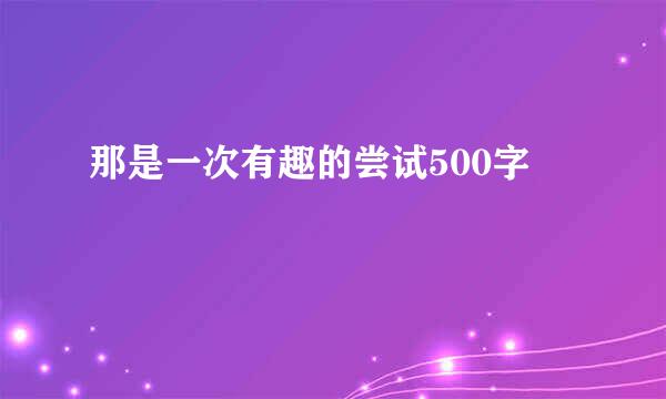 那是一次有趣的尝试500字