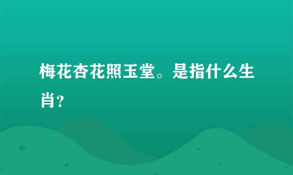 梅花杏花照玉堂。是指什么生肖？