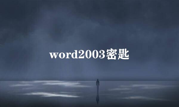 word2003密匙