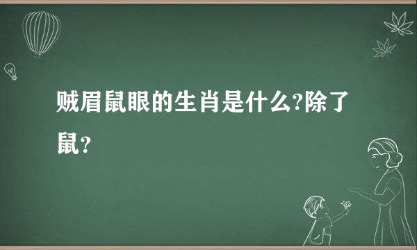 贼眉鼠眼的生肖是什么?除了鼠？