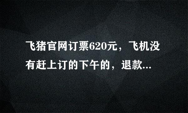 飞猪官网订票620元，飞机没有赶上订的下午的，退款后给我120元，退税不理解，搞就罪这样合理吗，求解