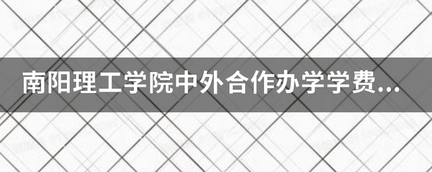 南阳理工学院中外合作办学学费用多来自少？