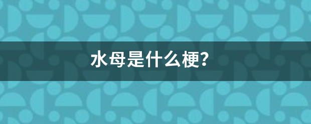 水母国则是什么梗？