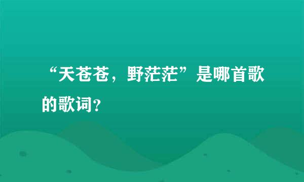 “天苍苍，野茫茫”是哪首歌的歌词？