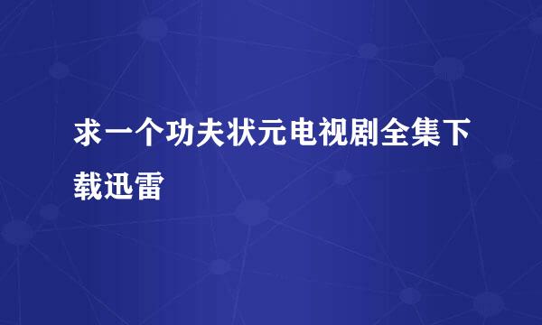 求一个功夫状元电视剧全集下载迅雷