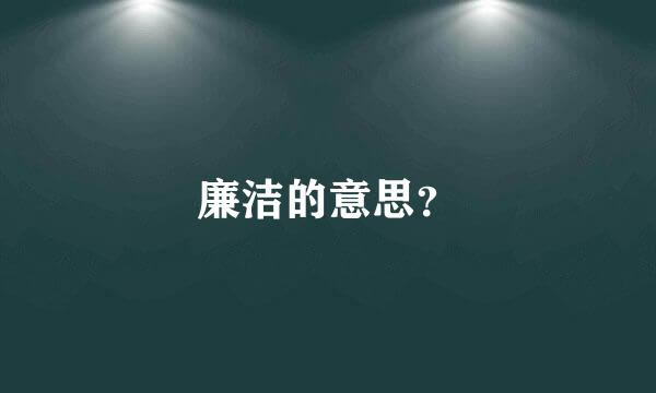 廉洁的意思？