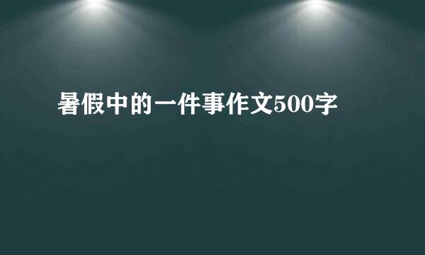 暑假中的一件事作文500字