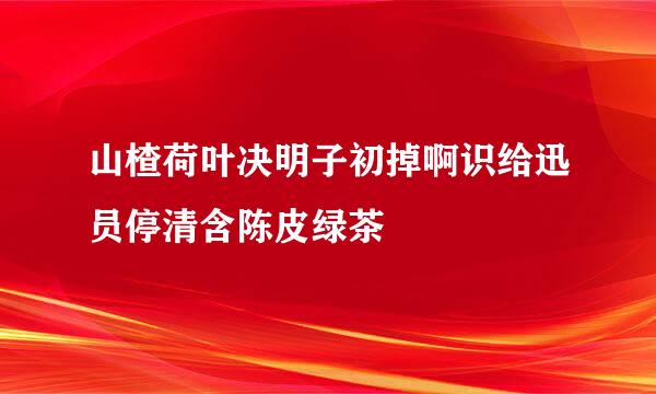 山楂荷叶决明子初掉啊识给迅员停清含陈皮绿茶