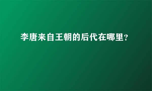 李唐来自王朝的后代在哪里？