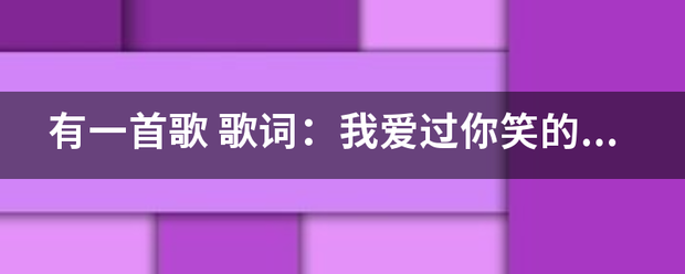 有一首歌 歌词：我爱过你笑的脸庞 我爱过你心的善良 这些年有你的时光 把我的孤独都照亮