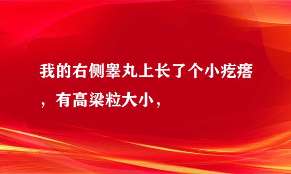 我的右侧睾丸上长了个小疙瘩，有高梁粒大小，