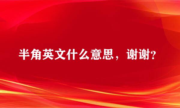 半角英文什么意思，谢谢？