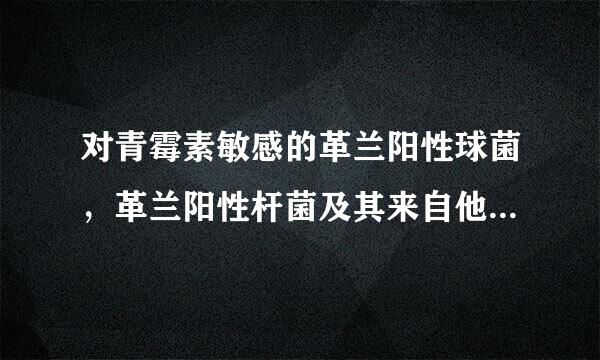 对青霉素敏感的革兰阳性球菌，革兰阳性杆菌及其来自他病原微生物有哪些？