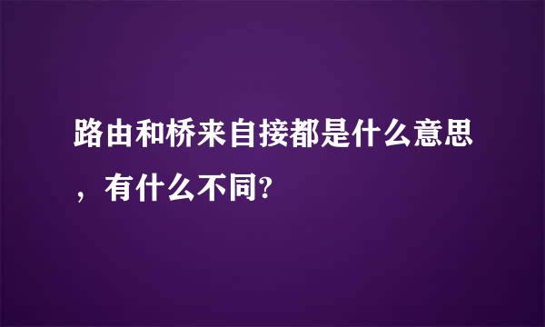 路由和桥来自接都是什么意思，有什么不同?