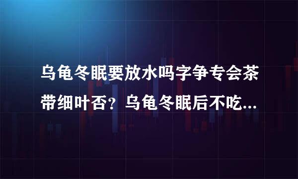 乌龟冬眠要放水吗字争专会茶带细叶否？乌龟冬眠后不吃东西怎么办？如果它老是不吃东西，要想办法，特别是2