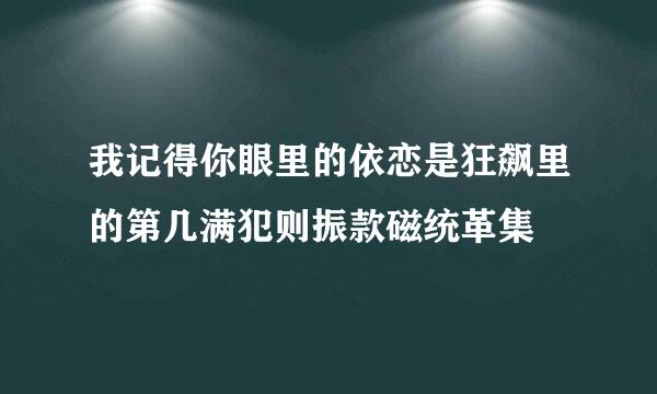 我记得你眼里的依恋是狂飙里的第几满犯则振款磁统革集