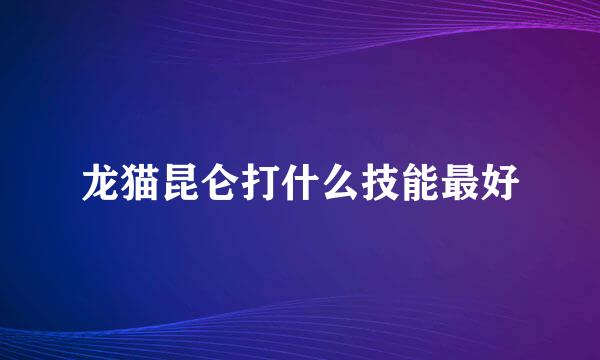 龙猫昆仑打什么技能最好